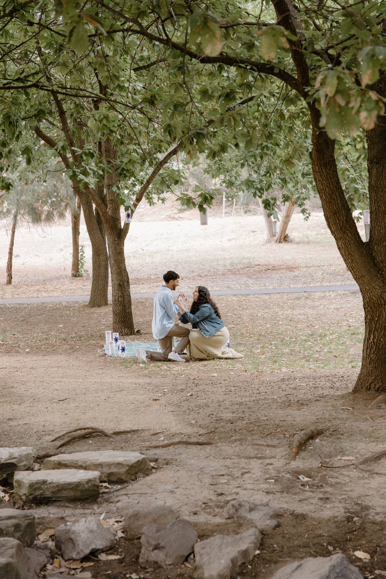 A proposal on a picnic blanket, seen through the trees