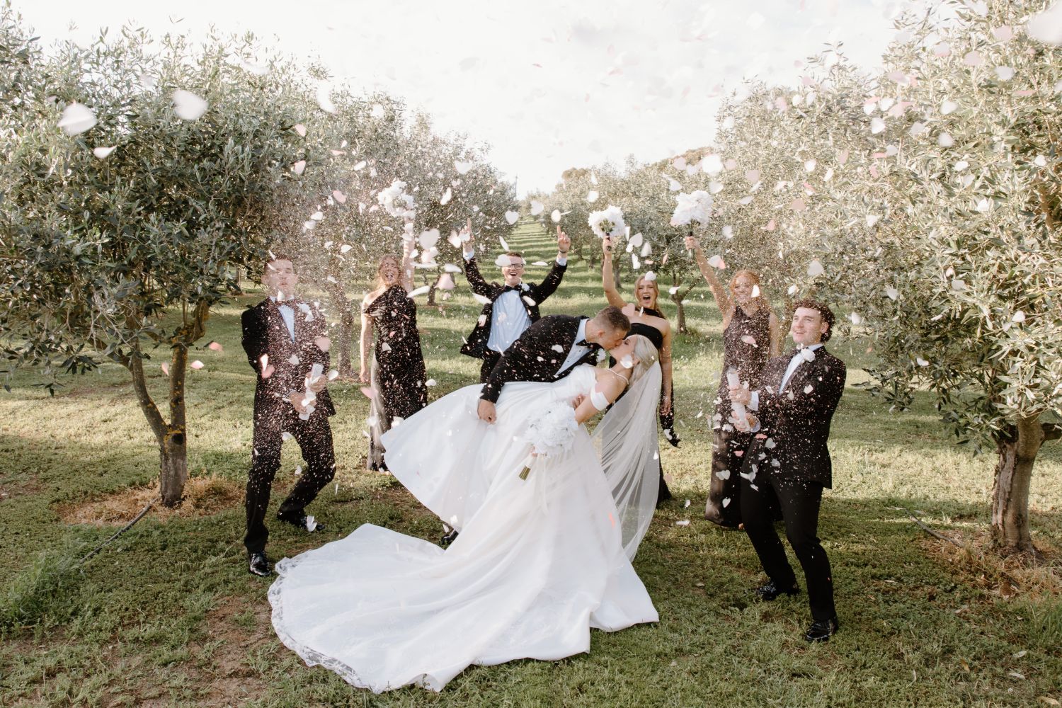 Bridal party throwing petals in an olive grove as the groom dips the bride